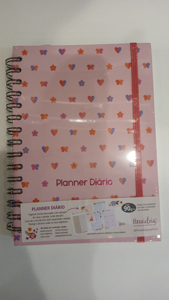 Planner Diario F